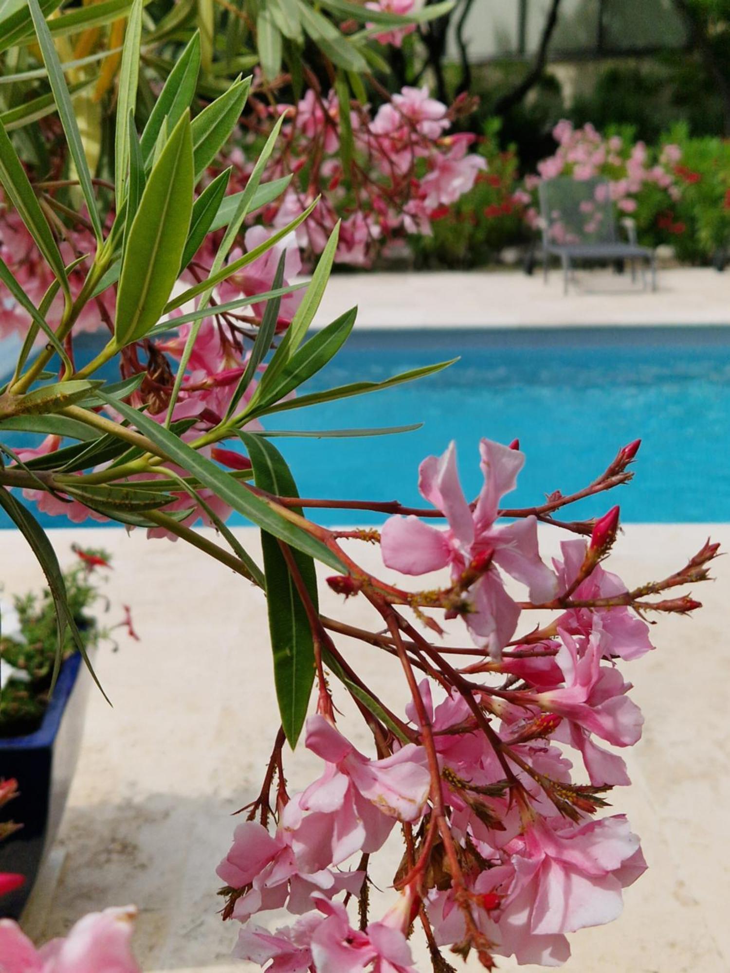 Villa La Cigaliere LʼIsle-sur-la-Sorgue Esterno foto
