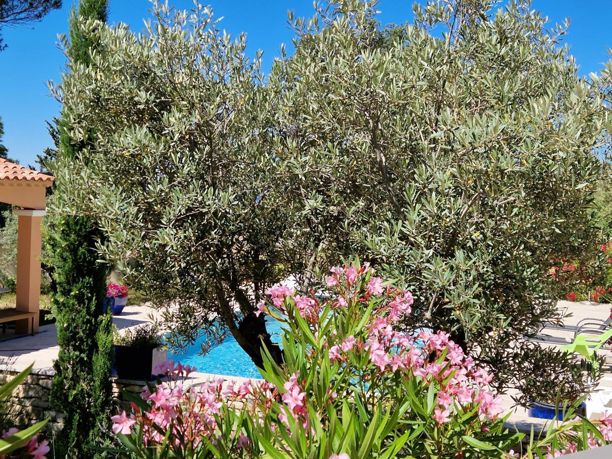 Villa La Cigaliere LʼIsle-sur-la-Sorgue Esterno foto